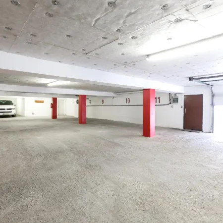 ''Die Bergerin'' | Appartements Schladming