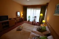 Hotel - Restaurant Gonduzo - parking