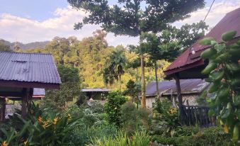 Mountain View Cottages & Villa Tangkahan