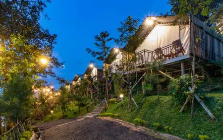 Miracle Signature Hills