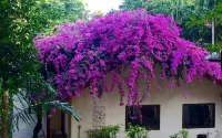 Baanwangnamkeaw Lodge Hotels in Wang Nam Khiao