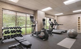 a well - equipped gym with various exercise equipment , including treadmills , stationary bikes , and weight machines , arranged in a spacious room at Courtyard Middletown Goshen