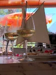 Hotel Palm Beach - Barer