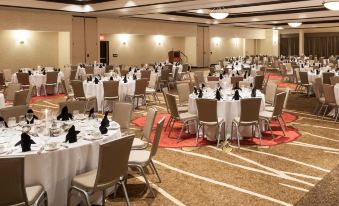 Hilton Garden Inn Dallas/Duncanville