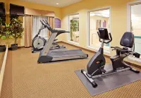 Holiday Inn Express & Suites BINGHAMTON UNIVERSITY-VESTAL by IHG - Gym