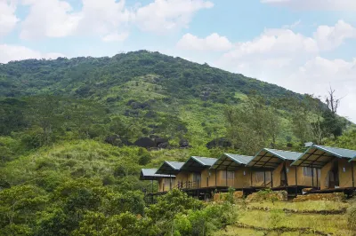 Wild Glamping Hotels in Medadumbara