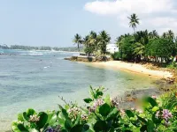 Aurora Hotels in Unawatuna