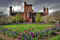 Best Western Mount Vernon/Ft. Belvoir Hotels in Mount Vernon