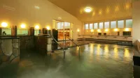 Yamanamiso Hotels in Ikeda