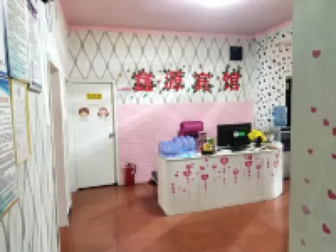 Shuyang Xinyuan Theme Apartment