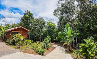 Bungalows Las Iguanas Arenal Volcano