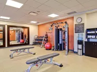 Homewood Suites by Hilton Waterloo/St. Jacobs - Gym