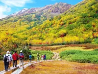 Tsugaike Kogen Guest House Chatelet Yamabiko