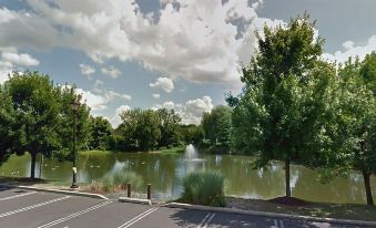 a large pond surrounded by green trees , with a fountain in the middle of the pond at Homewood Suites by Hilton Newtown - Langhorne