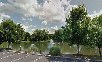 a serene park scene with a fountain and trees , captured from a high vantage point at Homewood Suites by Hilton Newtown - Langhorne