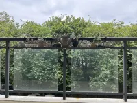 Tangwan Apartment (Longtan Road) Hotels in Wanda Plaza/Liuzhou Zoo