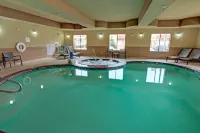 Holiday Inn Express & Suites PARIS by IHG - piscine