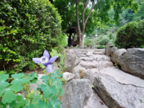 Yang Yang Sangol Yeohang Pension