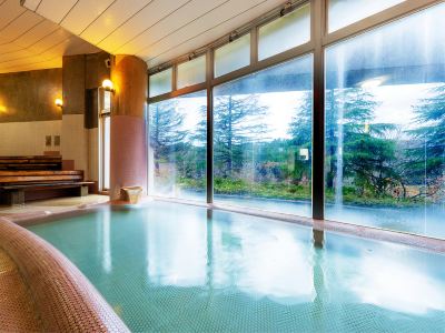 スパ・大浴場 白神山地　ホテルゆとりあ藤里の写真