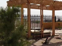 Southern Star Club Hotels near Aqaba Marine Park