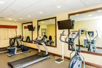 Holiday Inn Express CHEEKTOWAGA NORTH EAST by IHG - Gym