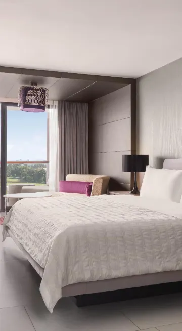 ห้องเตียงคิงไซส์-สำหรับผู้พิการ