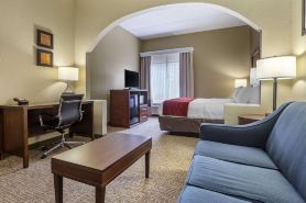 Comfort Inn & Suites Mocksville I-40