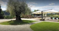 Tenuta D'Amore Hotels in San Mango Piemonte