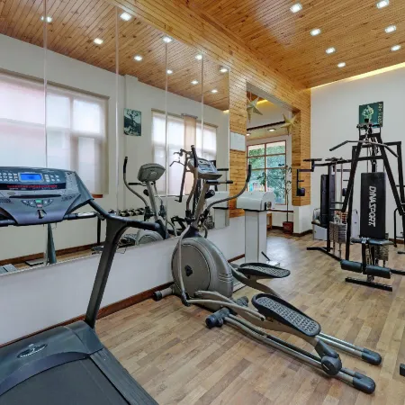 Bravia Hotel Manali Inn