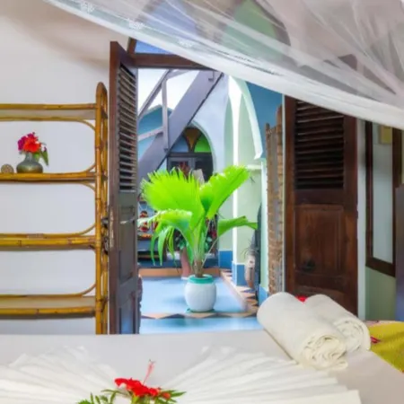 Aloe Vera Twin room with AC and garden view