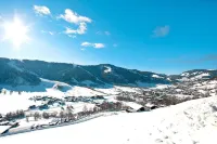 Penthouse in Niederau Near Ski Lift