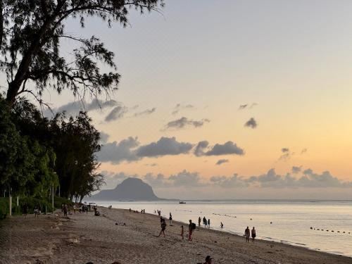 Hotel Modern Flat in Flic en Flac-Walk to the Beach, Leisure & Recreation, Beach