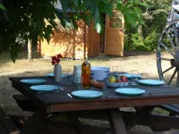 Bourrine Vendéenne and large garden near the sea