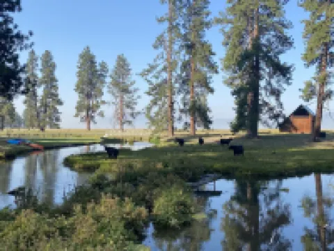 The Cabin on Crooked Creek