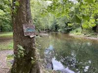 Lost Cabin at the Creek