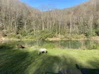 Secluded Cozy Luxurious Cabin, Gourmet Kitchen On 100 Acres W/ Miles Of Trails