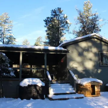 Green Elk Retreat Cabin, Cozy Cabin - large side yard with wildlife