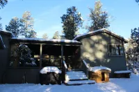 Green Elk Retreat Cabin, Cozy Cabin - large side yard with wildlife