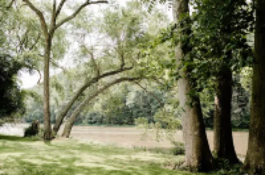 The Cabin at Slate Run