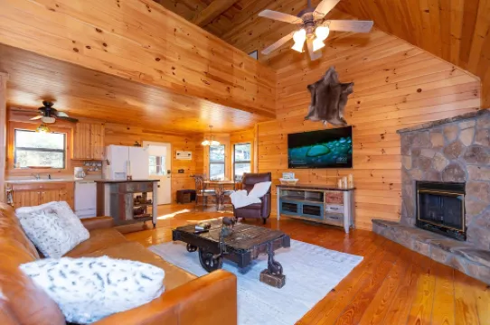 Mountain Forest Cabin w/ Therapeutic SPA Jacuzzi/Pool table/Gameroom Lic #033262