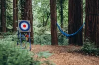 Mountain cabin w/king suite in the Redwoods of the Santa Cruz Mountains