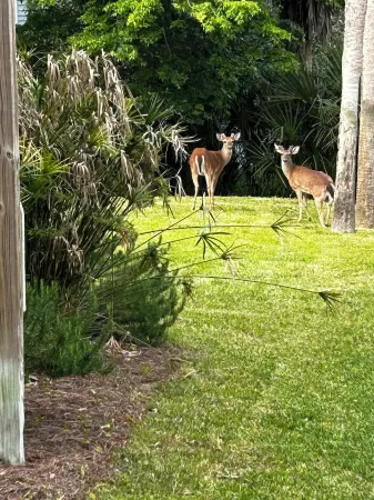 SEABATICAL. Lovely beach house steps to the beach with private pool