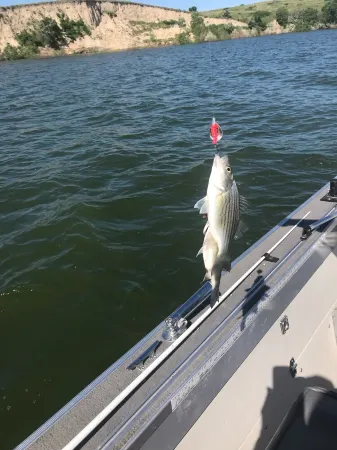 Relaxing ~ Fishing ~ Boating ~ Hunting ~ What More Is Needed?