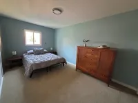 Cozy home with fenced yard and pet friendly. - Homestays