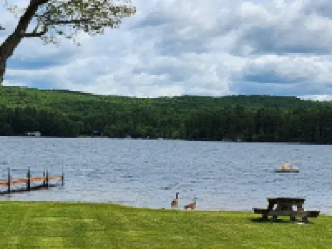 Long Lake - Gorgeous Sandy Beach