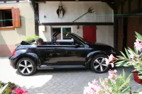 House in Columbage  Fully Renovated Between Strasbourg and Colmar