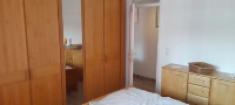 Above the clouds, in the middle of the forest