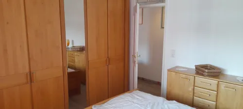 Above the clouds, in the middle of the forest