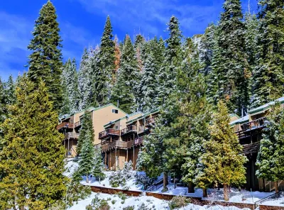 Cozy Pinecrest-Dodge Ridge Area Summer/Winter Fun Resort with King-Size Bed! Hotels near Yosemite National Park Sign