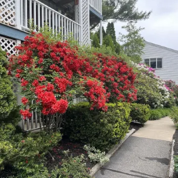 Quaint Ogunquit Condo 5 Min.Walk To Perkins Cove & Marginal Way